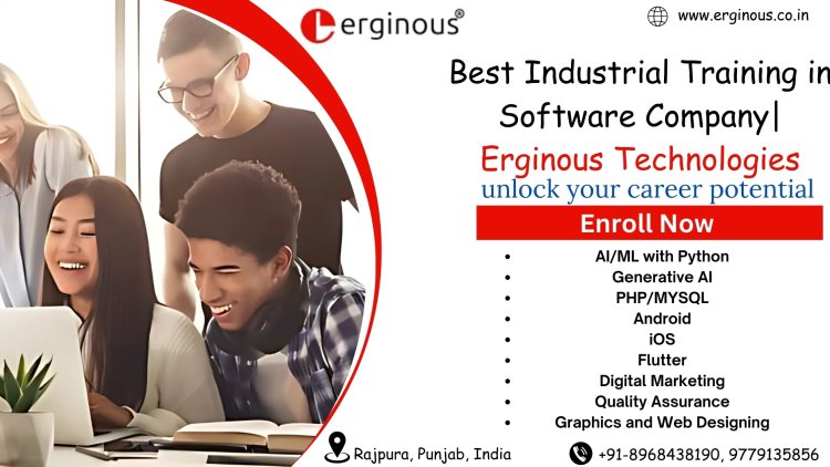 Industrial Training In Software Company| Erginous Technologies