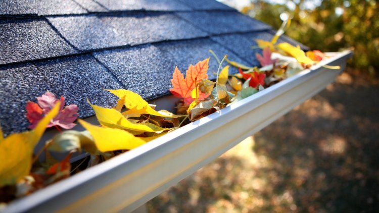 Why Regular Gutter Cleaning Is Essential for Brooklyn Homes