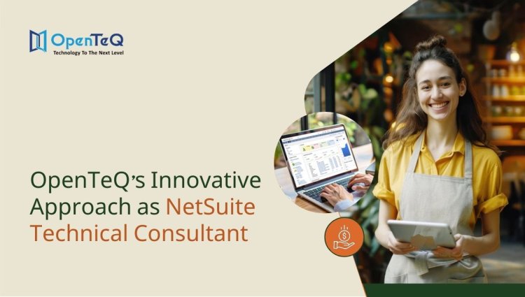 OpenTeQ's Innovative Approach as NetSuite Technical Consultant