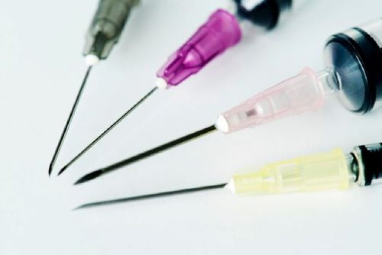 Filter Needles Market Expansion 2024-2033: Growth Drivers and Dynamics