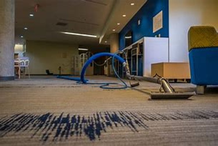 The Preventive Power of Professional Carpet Cleaning Services