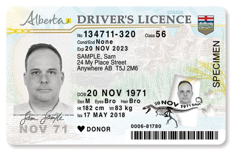 Buy Real Drivers License Without an Exam in 5 days