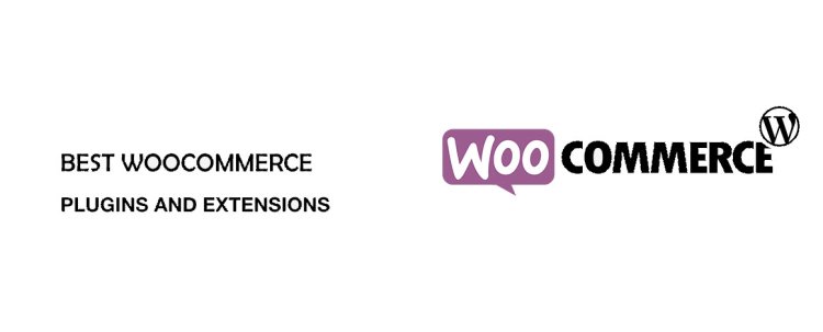 Essential WooCommerce Extensions for Better Shipping and Product Customization 2024-2025