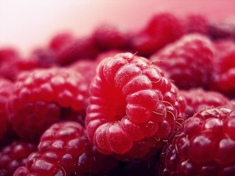 Berry Market Report 2024 - Berry Market Trends And Growth