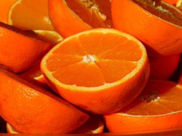 Global Citrus Concentrate Market Overview 2024: Size, Growth Rate, and Segments