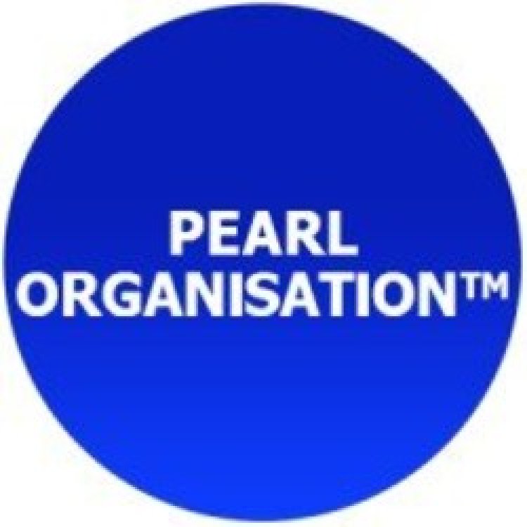 The Growth and Success of Pearl Organisation: A Leader in Digital Business Transformation