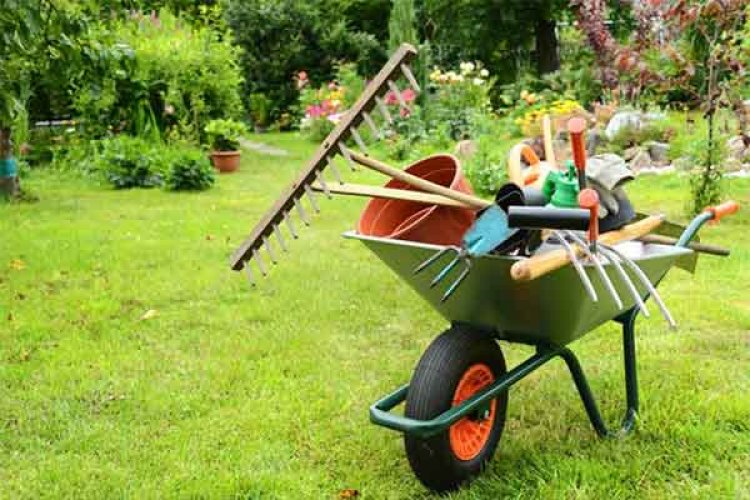 How to Keep Your Garden Flourishing with Minimal Effort