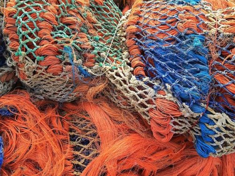 Fishing Net And Aquaculture Cage Market Expansion 2024-2033: Growth Drivers and Dynamics