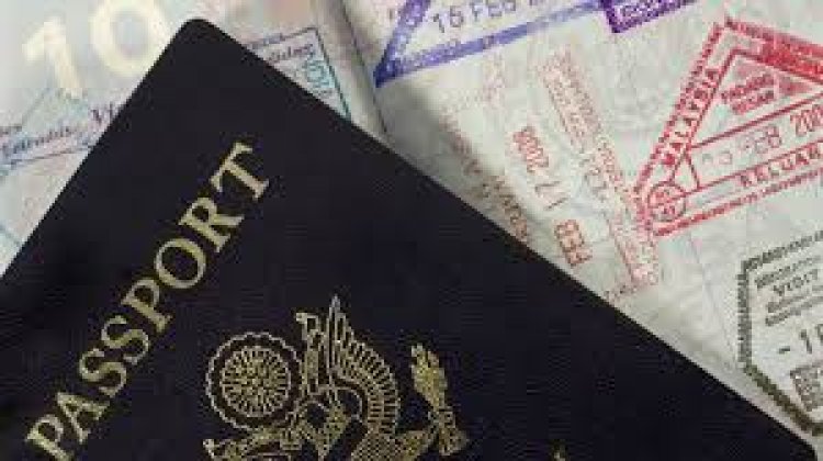 How Long's the Wait for Domestic Violence Visas?