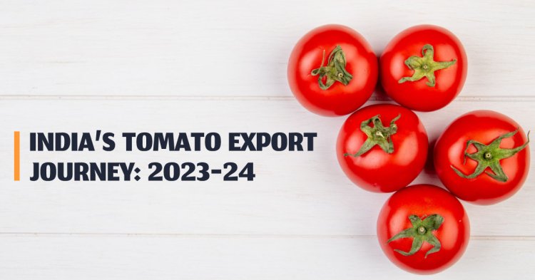 India’s Tomato Export Journey: 2023–24