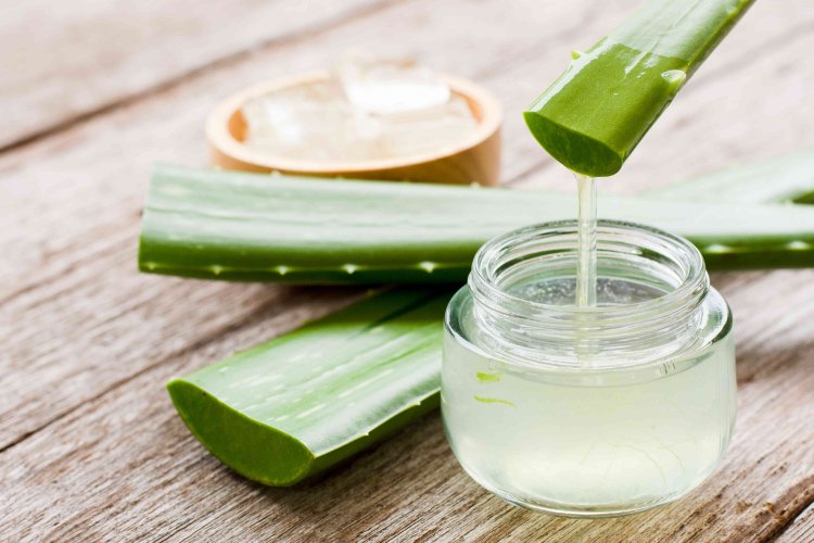 Aloe Vera Extract Market: To Gartner Scalable Heights Of Growth By 2030 – iSay Research Study