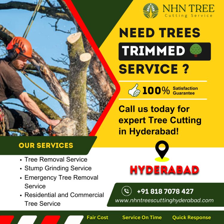 Tree Trimming Service in Hyderabad – NHN Trees Cutting