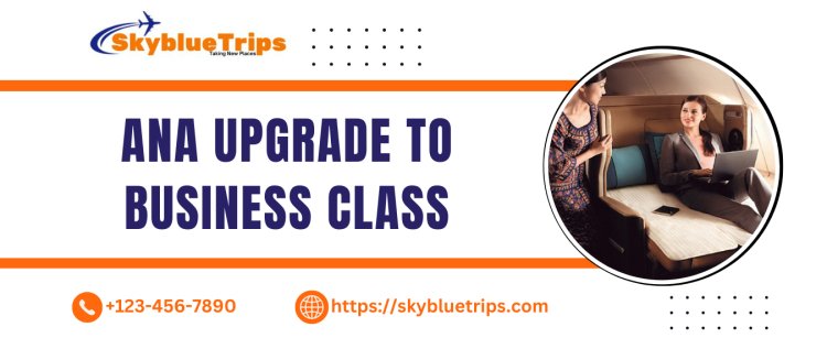 How to Upgrade ANA to Business Class?