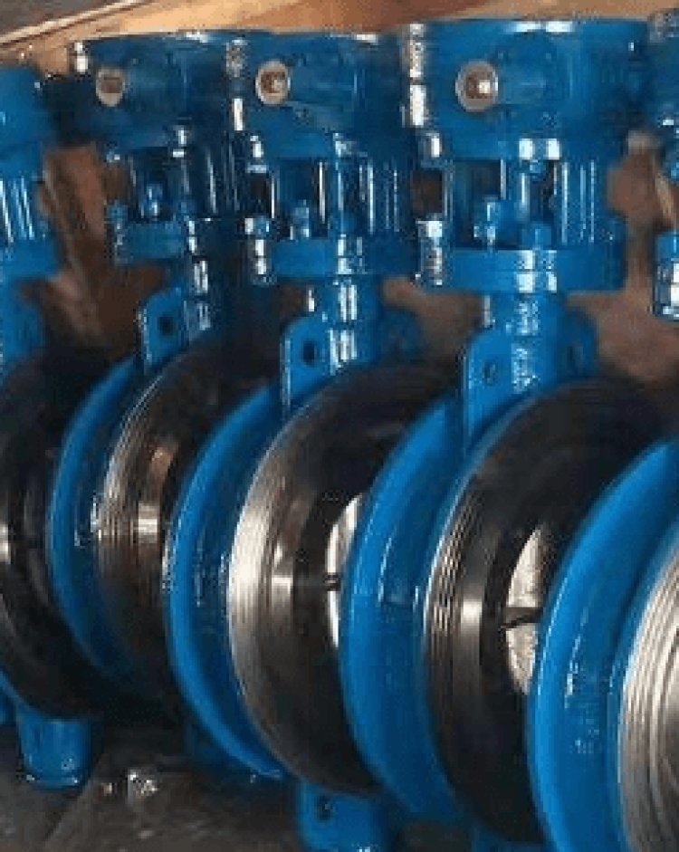 Triple eccentric butterfly valve in Iraq