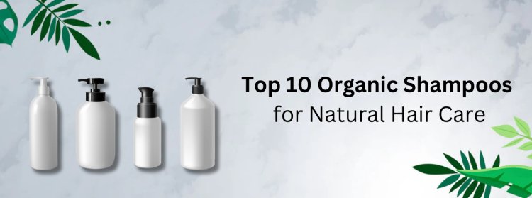 Top 10 Organic Shampoos for Natural Hair Care