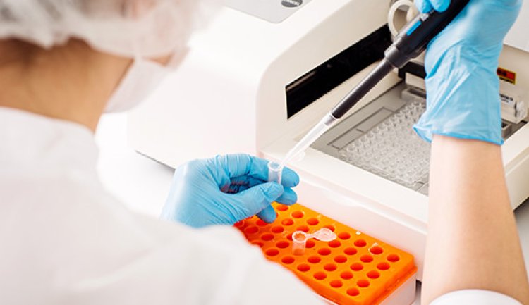 Understanding RNA Transfection Kits: A Comprehensive Guide