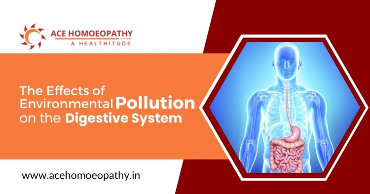 The Effects of Environmental Pollution on the Digestive System