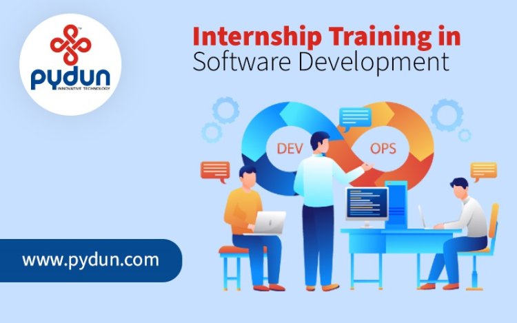 Internship Training in Software Development