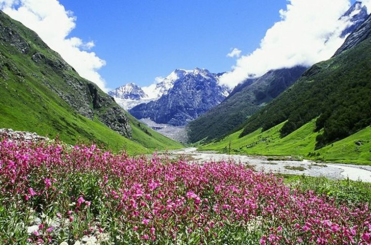 Valley of Flowers: A Hidden Gem of Uttarakhand
