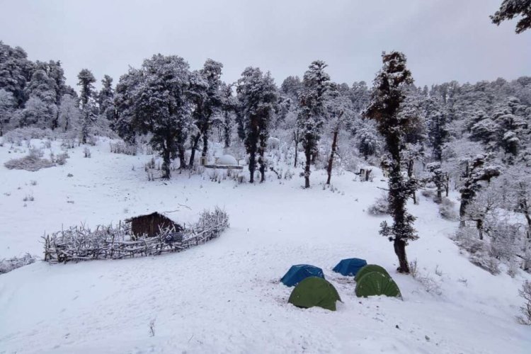 Dayara Bugyal Trek: A Scenic Expedition in Uttarakhand’s Himalayan Paradise