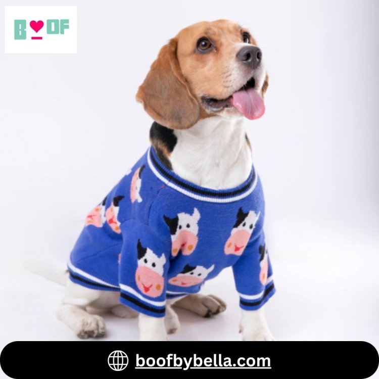 Boof by Bella has the best winter dog clothes and dog sweaters