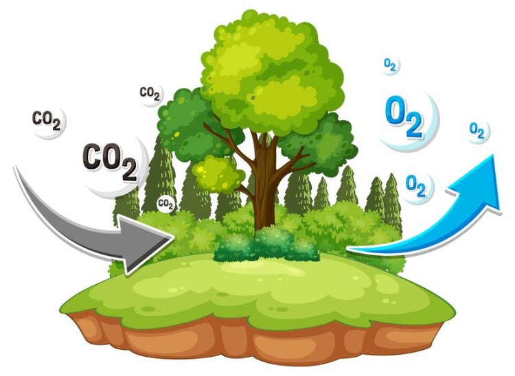 Leveraging Eco-Friendly Innovations to Lower Carbon Emissions