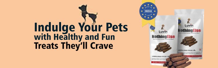 Buy Best Pet Treats Online