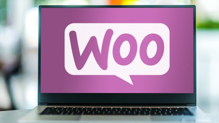 How WooCommerce Extensions Can Revolutionize Your E-Commerce Experience 2024-2025