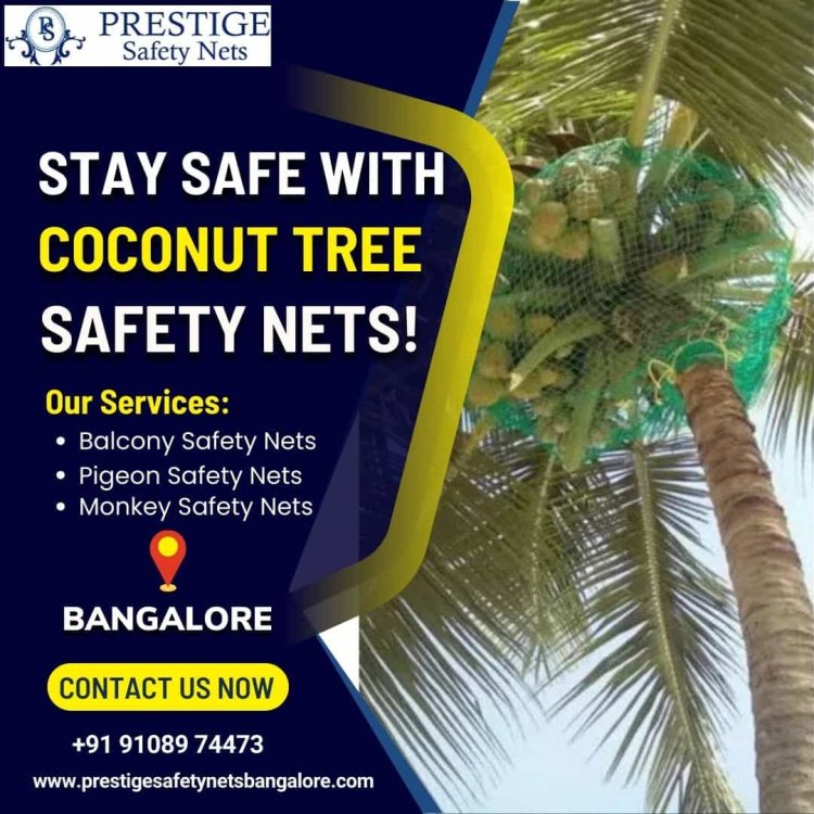 Coconut Tree Safety Nets in Bangalore – Prestige Safety Nets