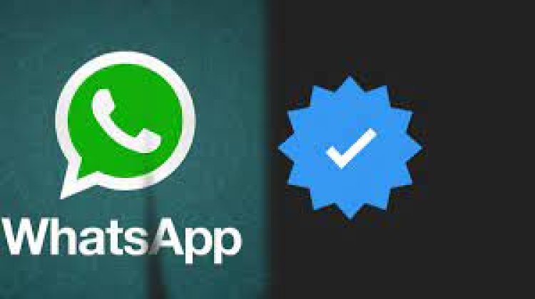 How to Get Blue Tick on WhatsApp: Complete Verification Guide
