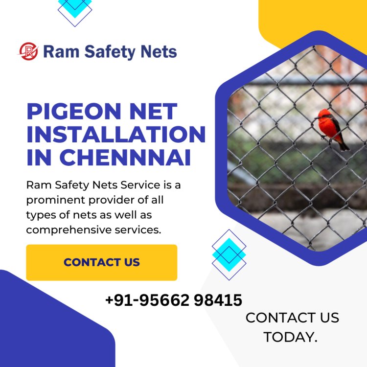 Pigeon Net Installation in Chennai