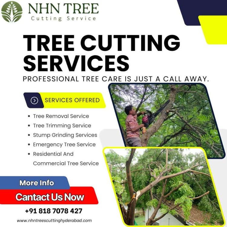 Top Tree Cutting Services in Hyderabad – Expert Care by NHN Trees Cutting