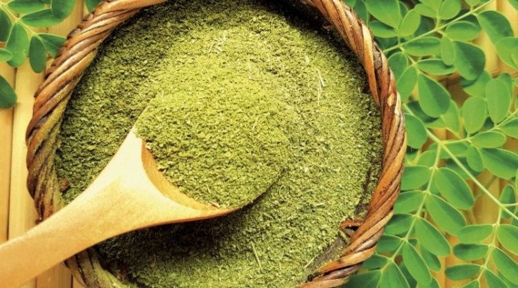 Why Moringa Powder Is the Perfect Addition to Your Wellness Routine