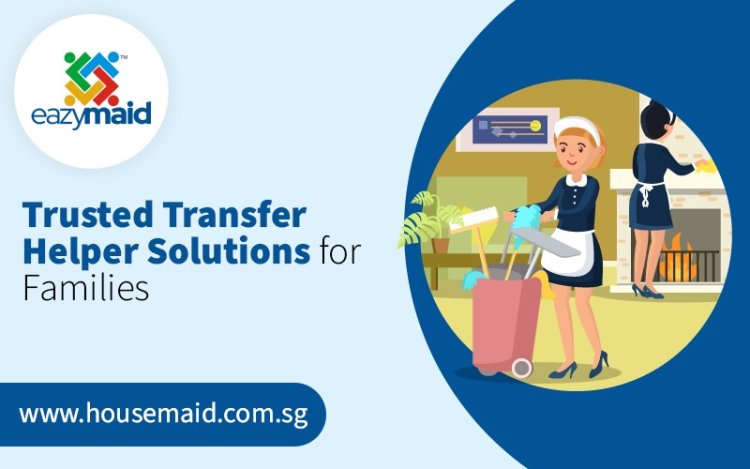 Trusted Transfer Helper Solutions for Families in Singapore