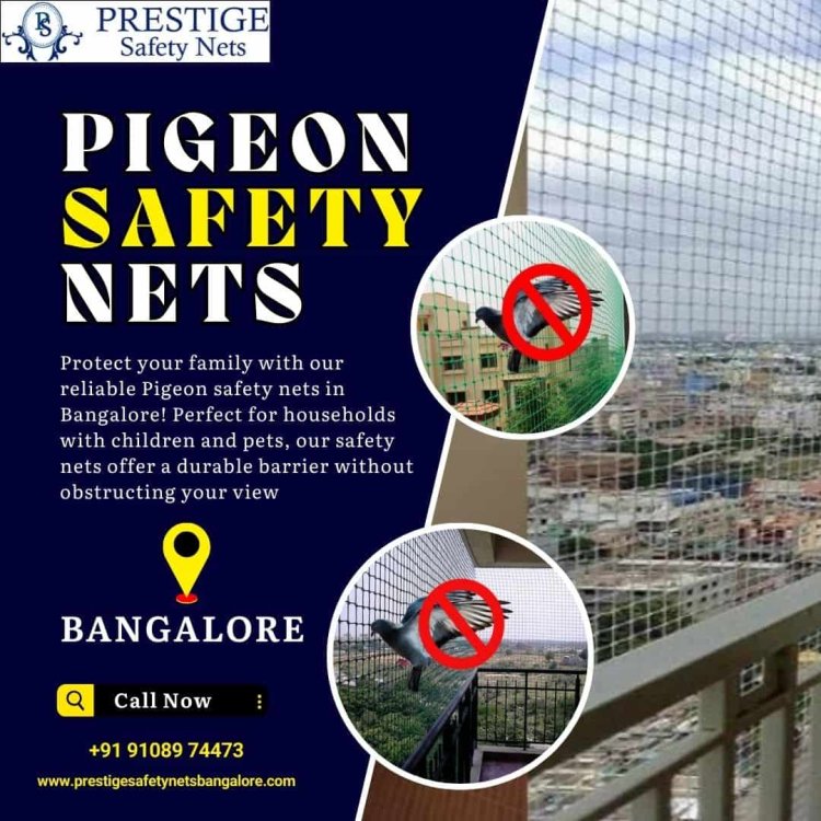 Transform Your Home: Reliable Pigeon Safety Nets by Prestige!