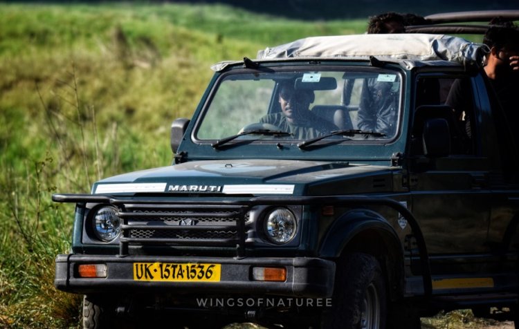 A Photographer’s Dream: Capturing the Beauty of Jim Corbett National Park