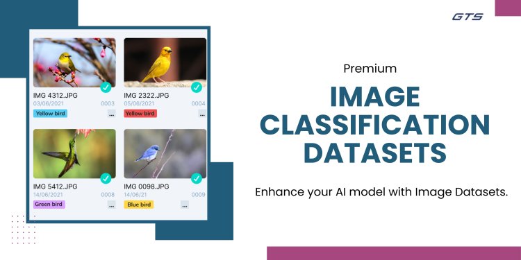 Image Classification Dataset: The Foundation of Advanced AI Models