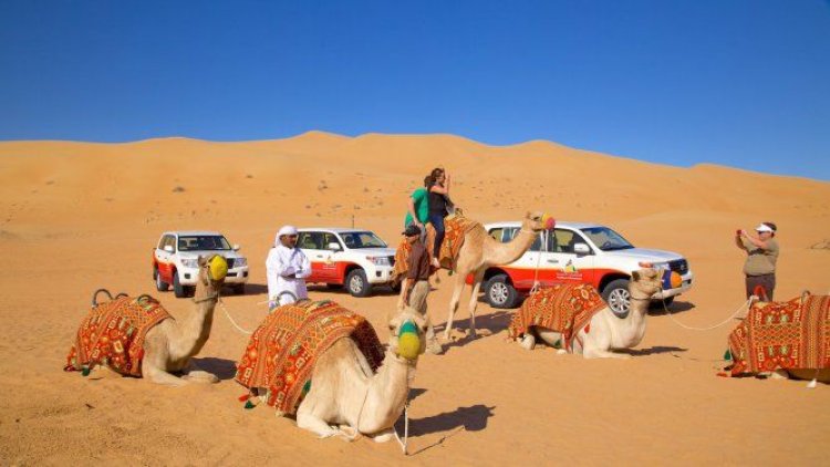 Your Step-by-Step Guide to an Unforgettable Desert Safari in Dubai