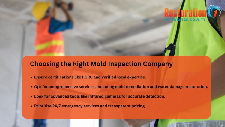 How to Choose the Right Mold Inspection Company in Chester County