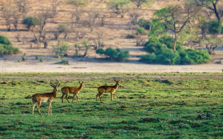 Top Seasonal Adventures to Experience Across Nigeria