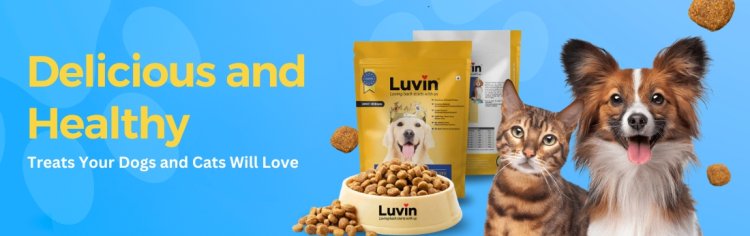 Shop Best Dog Nutrition Bar Food Treat Online