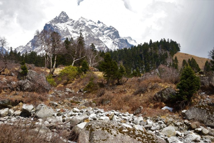 Why You Absolutely Need a Professional Guide for the Har Ki Dun Trek