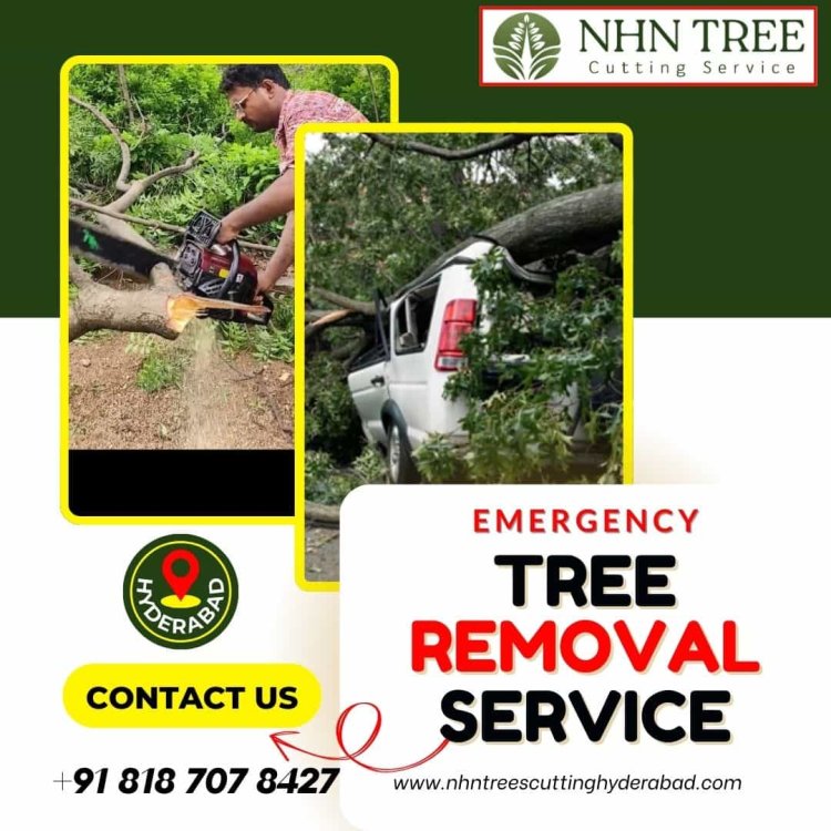 Fast & Reliable Emergency Tree Removal – Call NHN Trees Cutting Hyderabad Today!