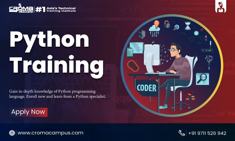 What will I Learn in the Python Course?