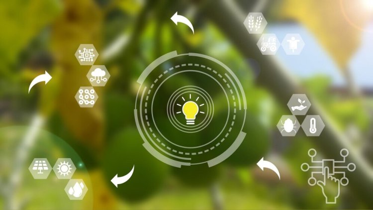 What Is Sustainable Technology Innovation and Why Is It Important?