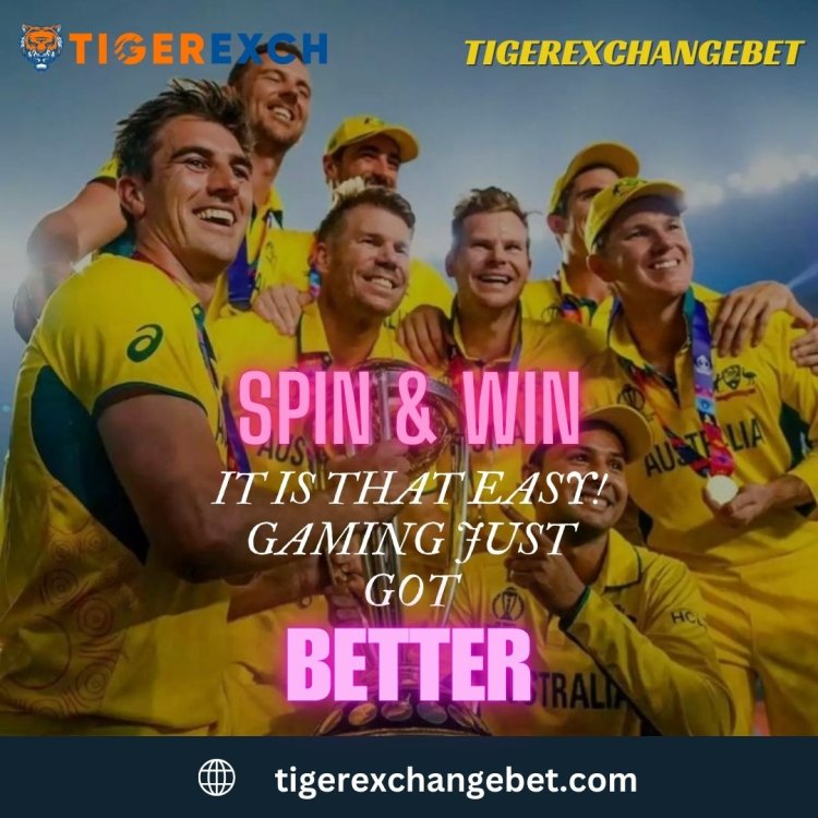 Bet On Sports Games With Tigerexchangebet - Top Online Betting Platform