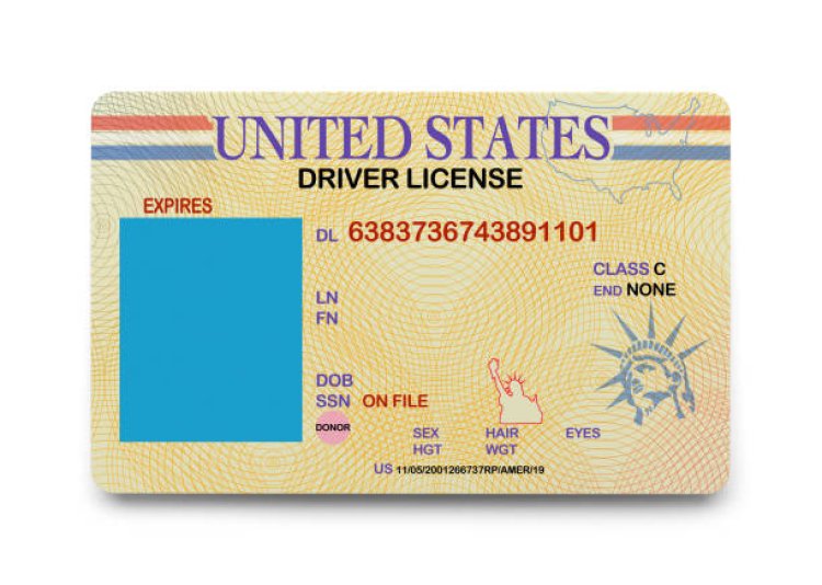 The Real Maryland ID: A Comprehensive Guide