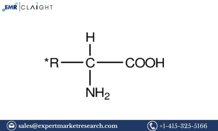 Amino Acid Manufacturing Plant Project Report 2025: Cost, Process and Market Trends