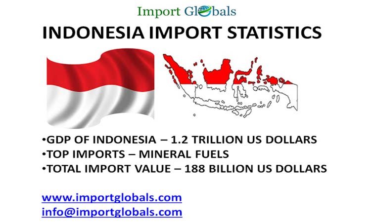 Indonesia Import Data: A Trade Essential