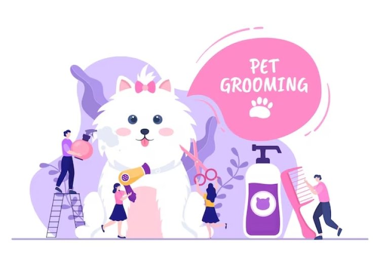 A Complete Guide to Pet Grooming: Keeping Your Pet Healthy and Happy